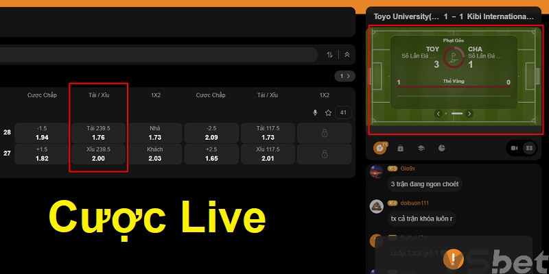 Cược Live